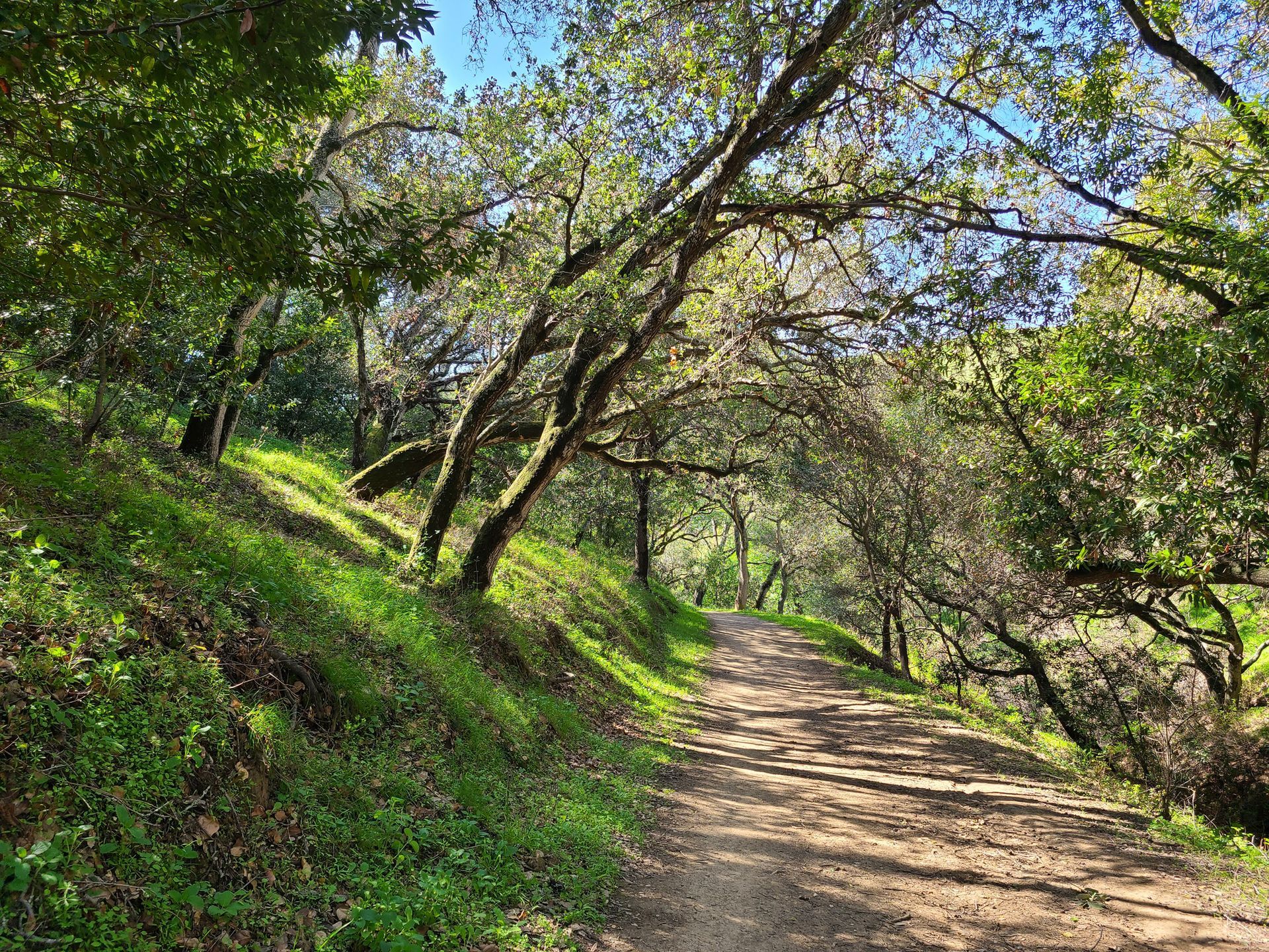 public parks