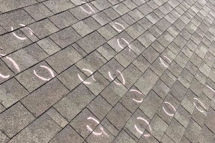 HOMEOWNERS 101