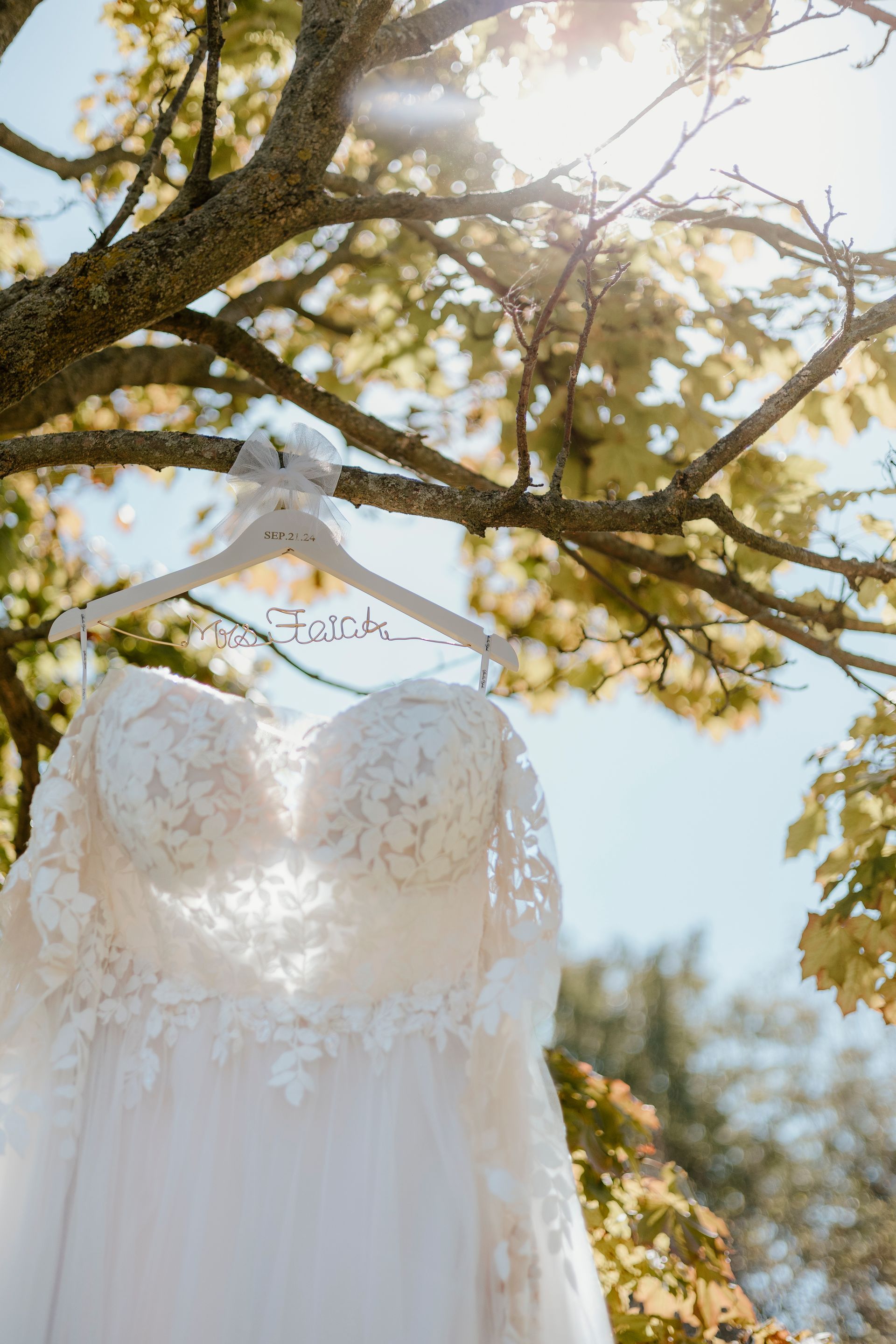 A wedding dress is hanging from a tree branch.