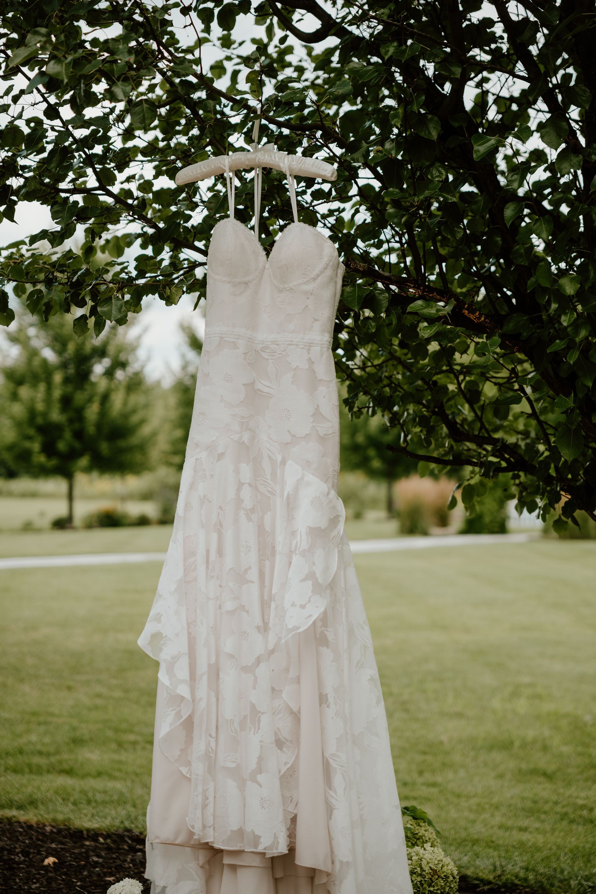White lace wedding dress hanging from a tree branch outdoors on a grassy lawn