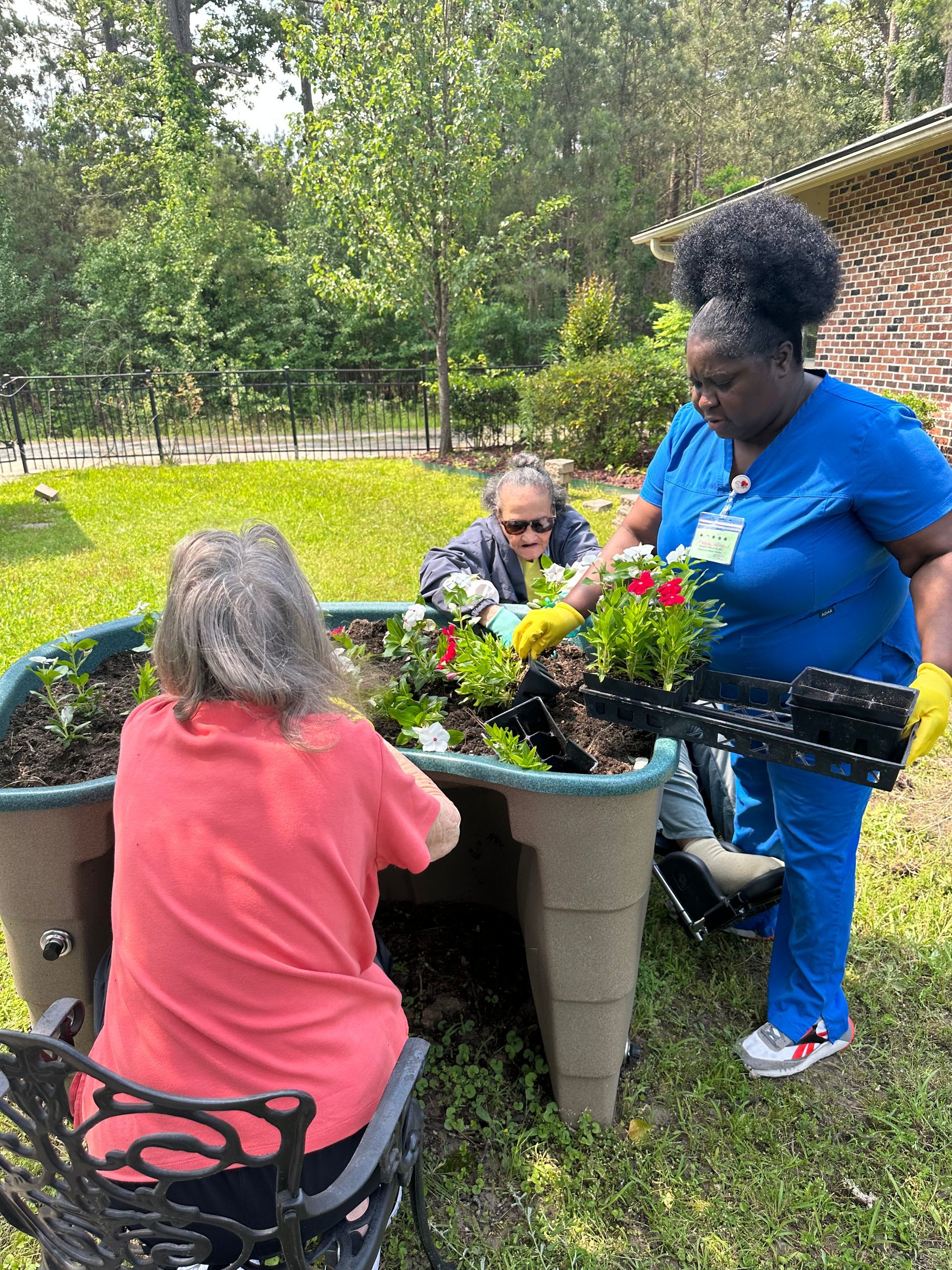 People gardening outdoors, arranging flowers in large planters on a grassy lawn.