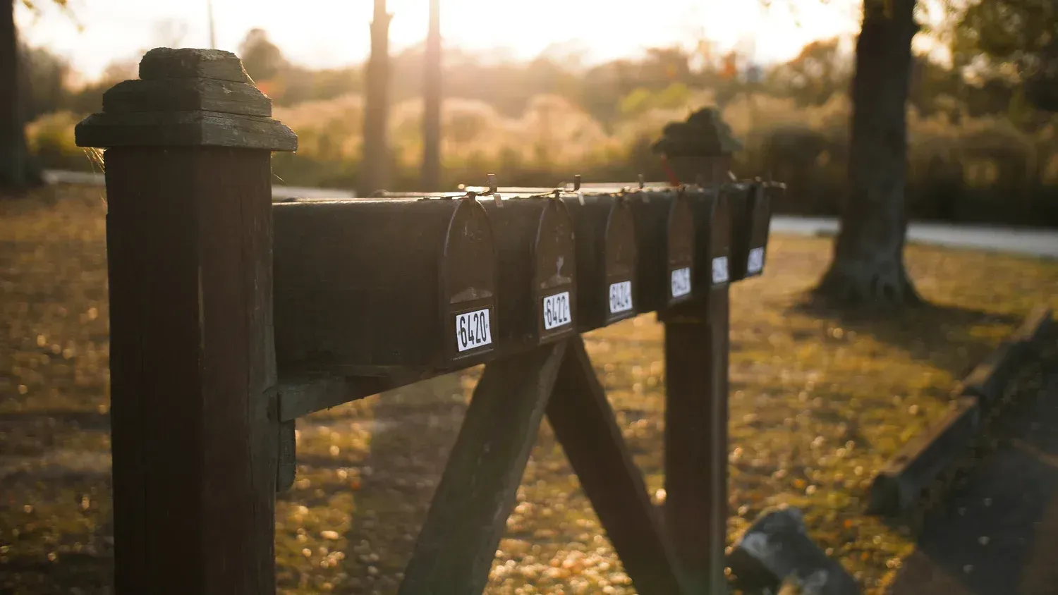 Wooden fence in warm sunset light with small numbered tags along the top rail