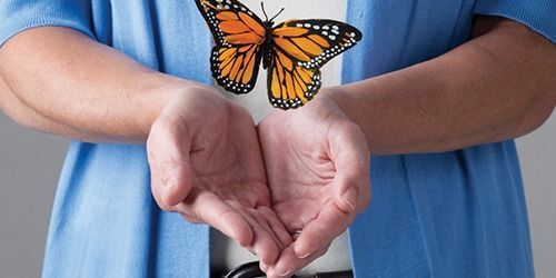 Hands cupped beneath an orange butterfly against a blue shirt background