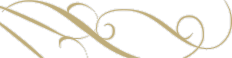 Abstract gold and white decorative swirls on a white background