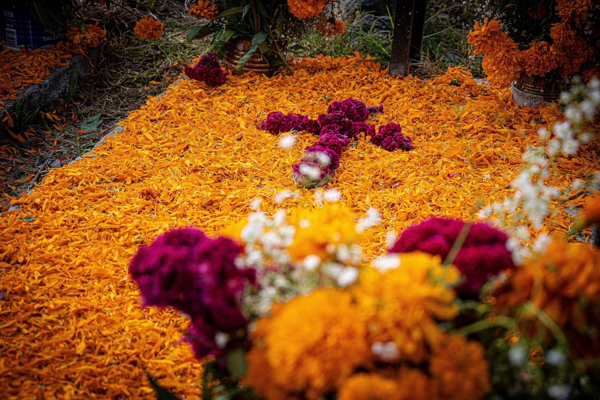 Colorful flower garlands in orange, yellow, and purple arranged in a decorative display