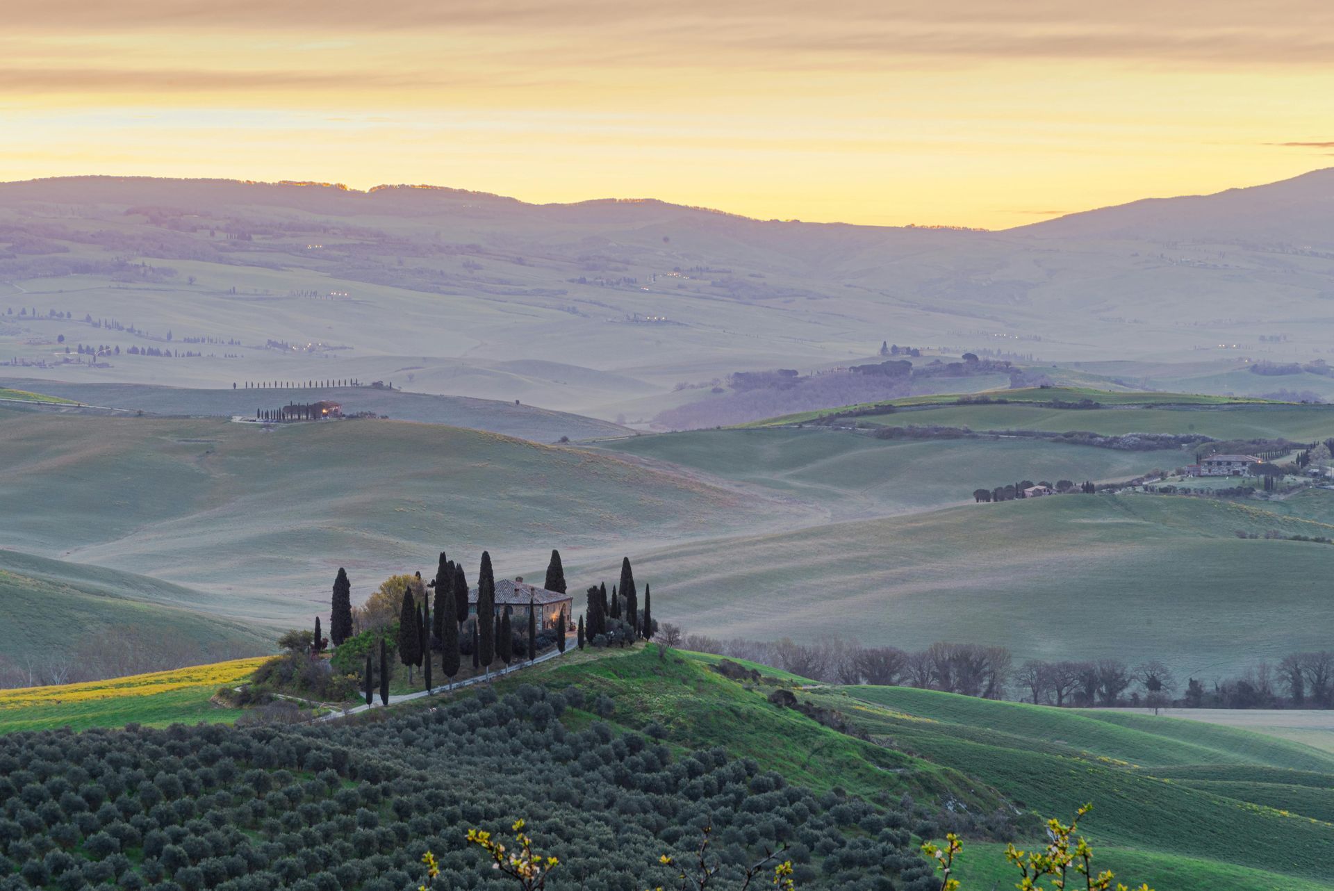 Dolci colline verdi all'alba, con un gruppo di cipressi in primo piano e montagne nebbiose sullo sfondo.
