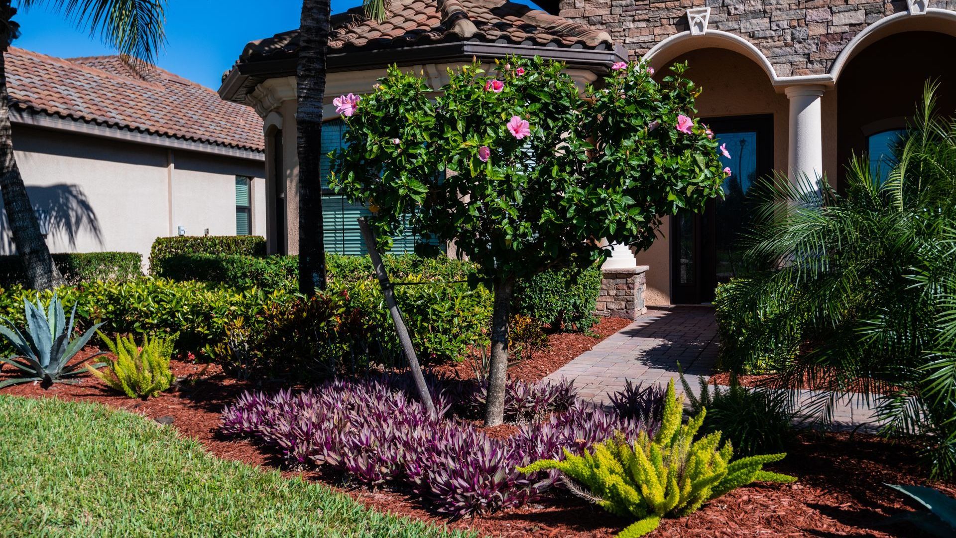 A house with a lush green lawn and a tree in front of it