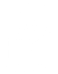 A white background with a few lines on it