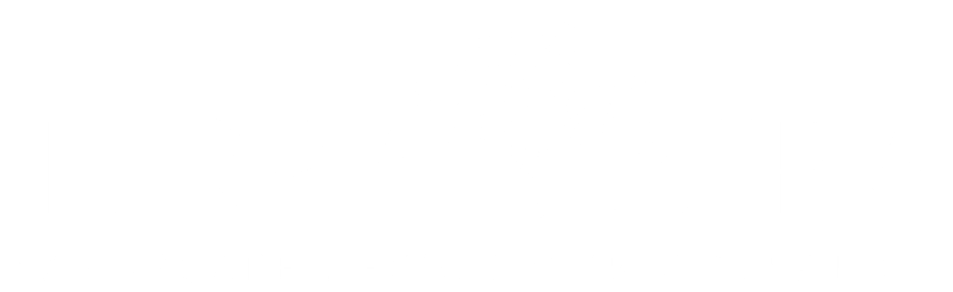A white background with a few lines on it