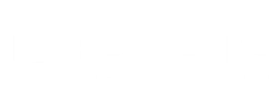 A white background with a few lines on it