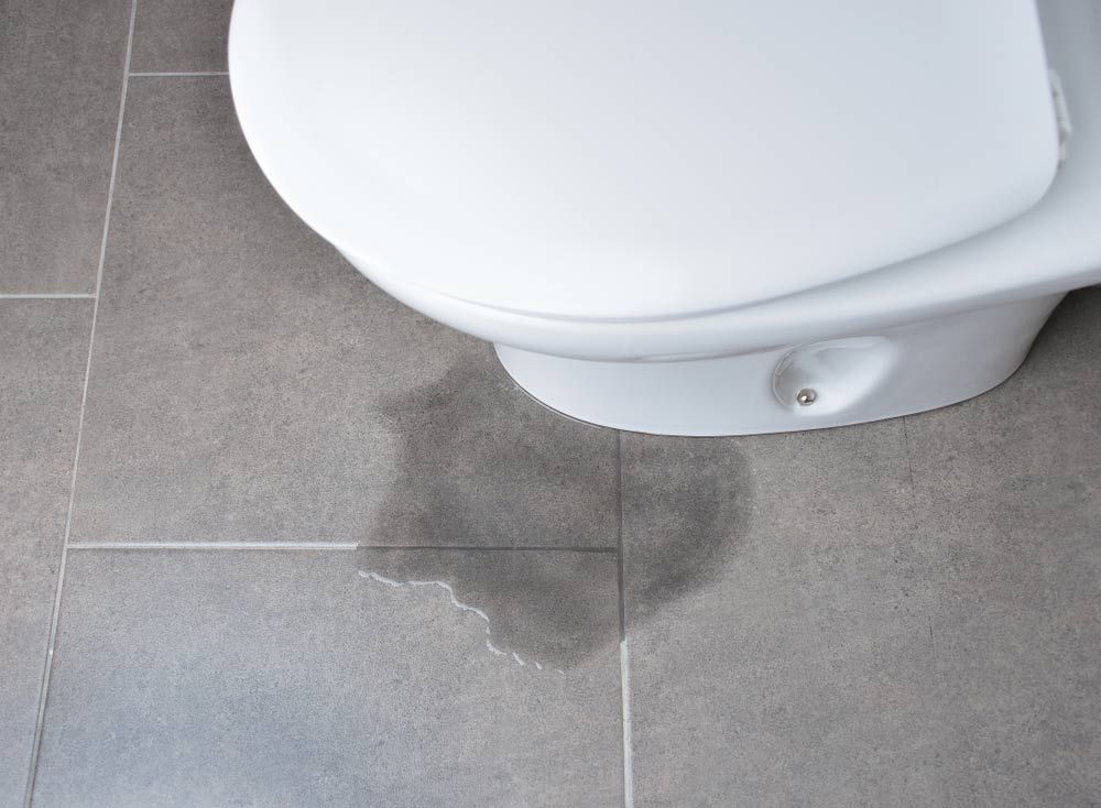 Leakage of Water from a Toilet — Plumbing in Wollongong