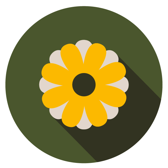 Garden Makeovers