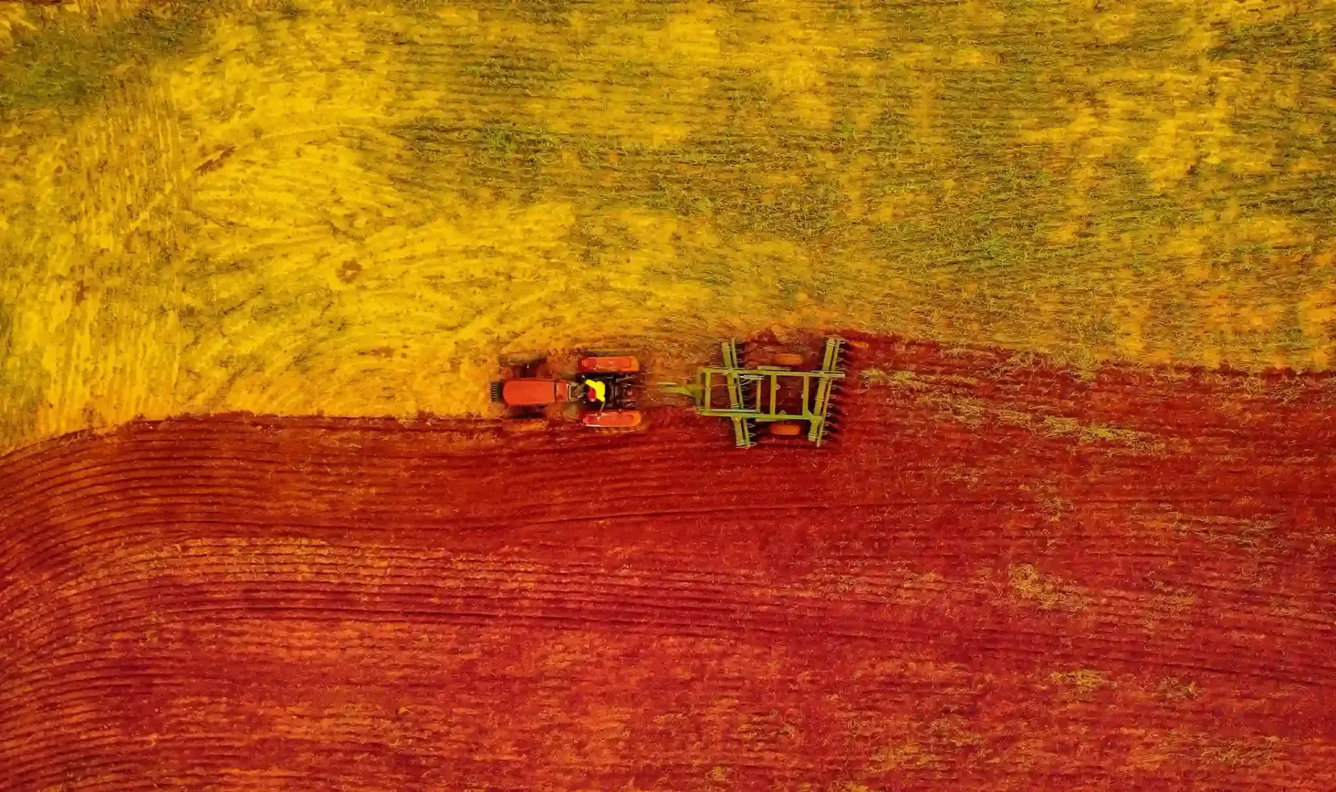 an aerial view of a tractor plowing a field of red and yellow flowers