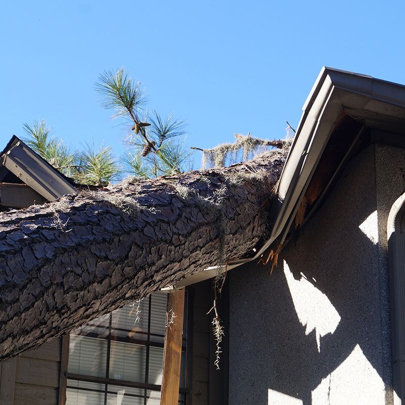 A tree that has fallen on top of a house