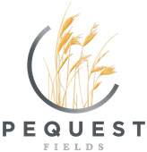 PEQUEST Fields logo with golden wheat stalks inside a gray circular arc