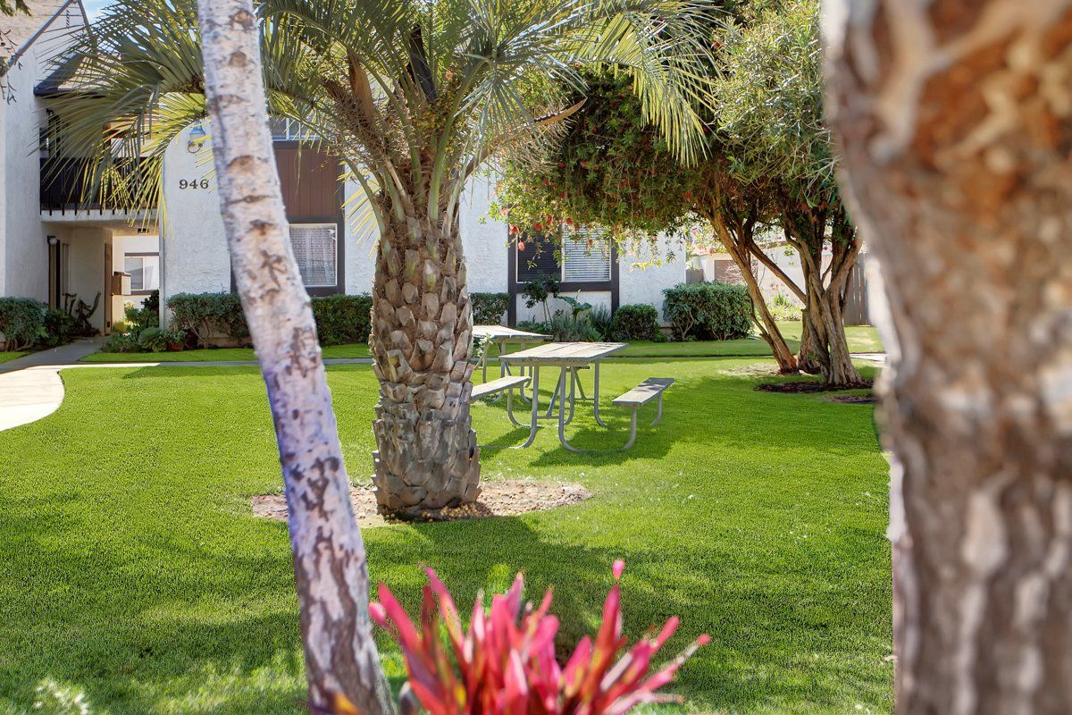 landscaping