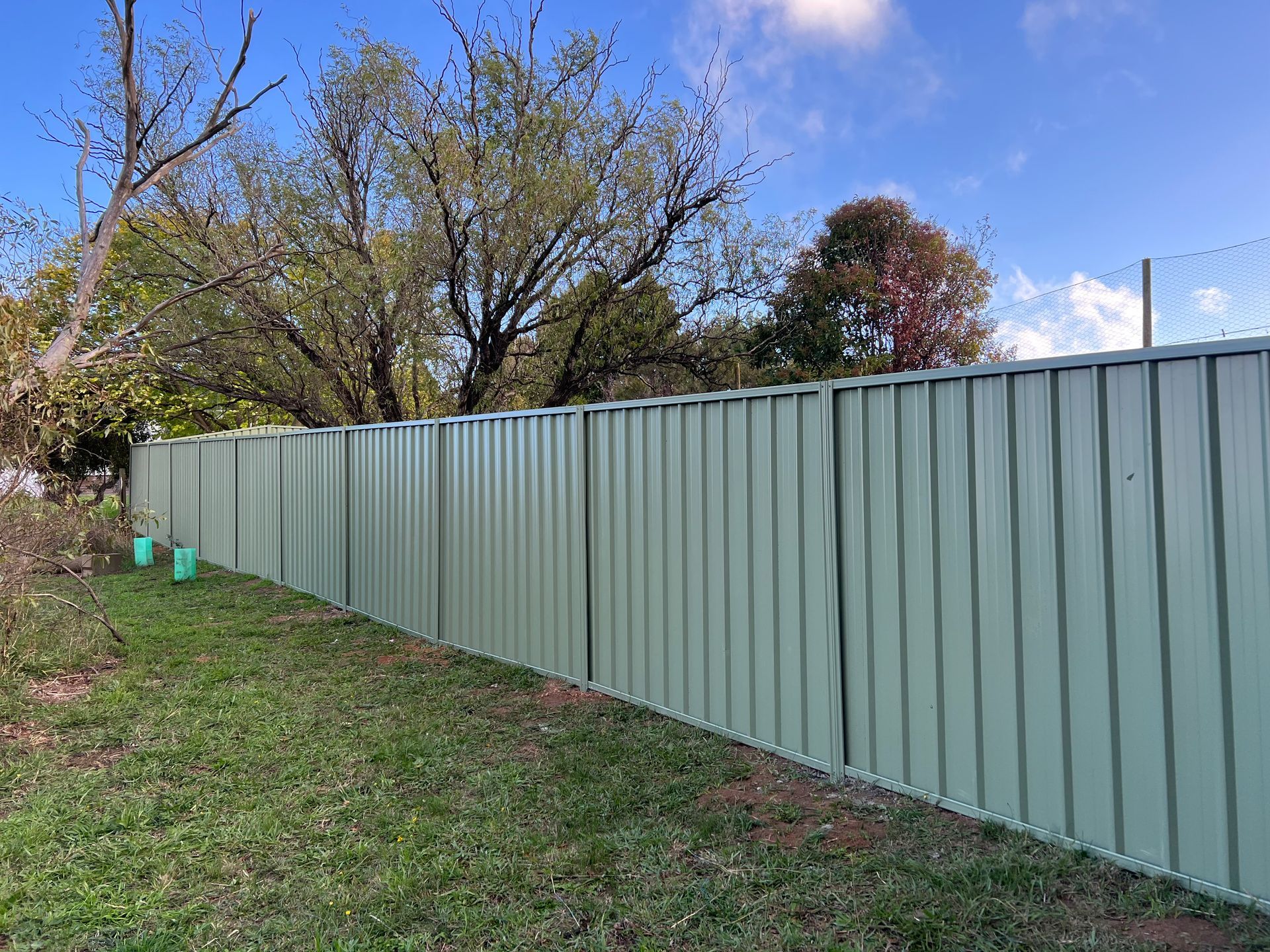 Green corrugated metal fence in grassy yard, trees in background, under a partly cloudy sky — LD Carpentry in Goulburn, NSW