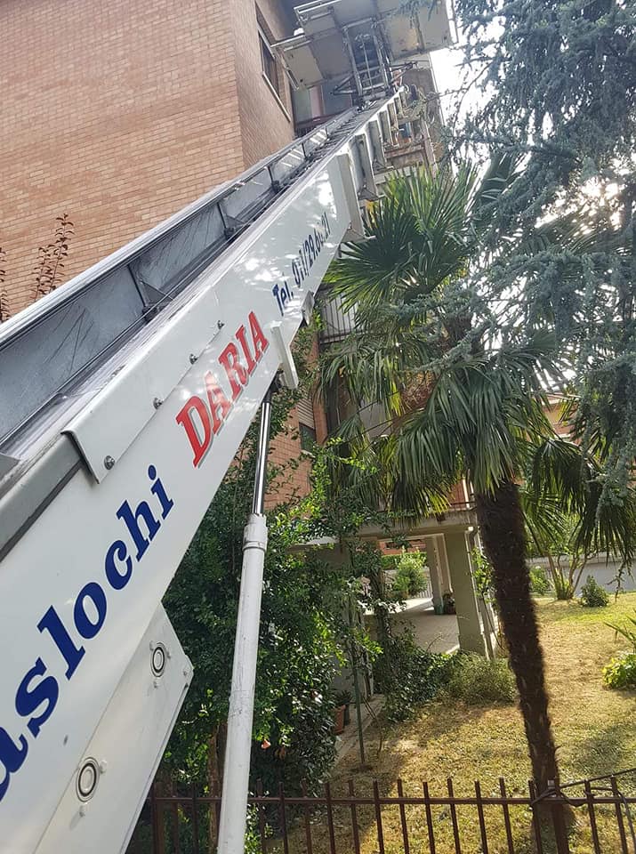 Insegna inclinata su un edificio accanto a palme e una recinzione in un contesto di giardino.