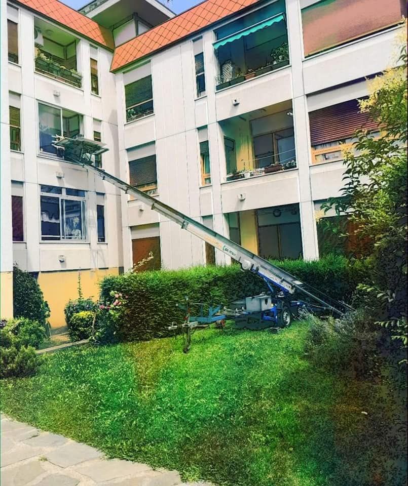 Cortile di un condominio con un albero caduto che si protende sull'erba e sul vialetto.