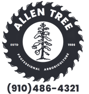 Allen Tree professional arboriculture logo with tree-ring design and phone number (910) 486-4321