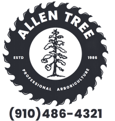 Allen Tree professional arboriculture logo with tree-ring design and phone number (910) 486-4321