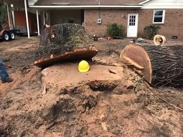 Uprooted tree stump in a muddy yard with a yellow ball and cut log sections near a brick house