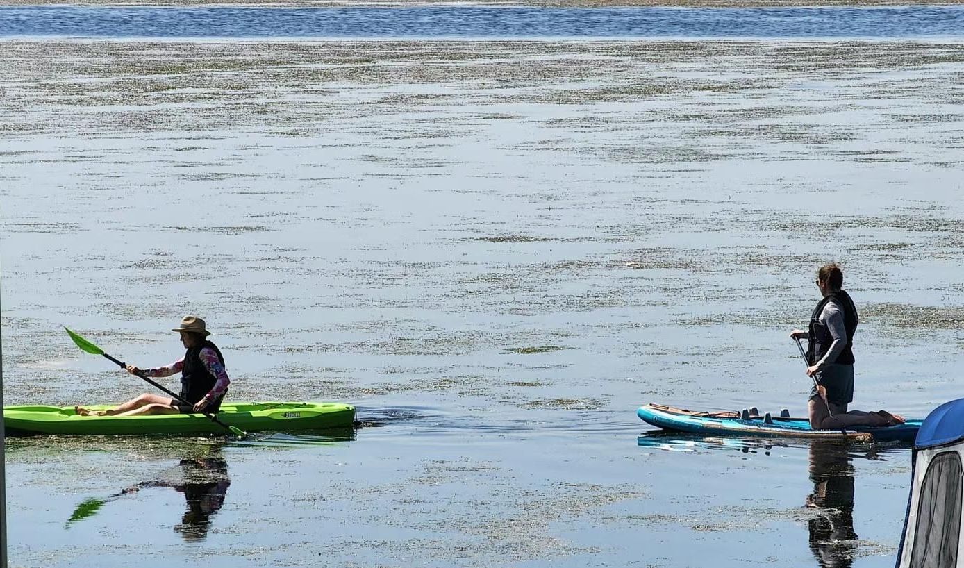 Boat Rentals Snug Harbour Cottage & Marina in Lindsay ON