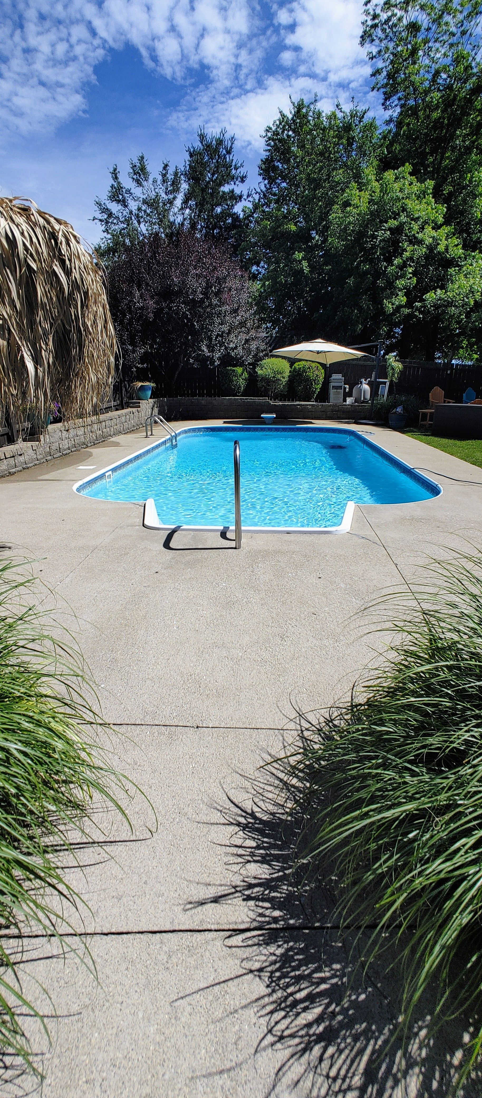 Blue swimming pool in a sunny backyard garden, surrounded by gravel, trees, and shrubs.