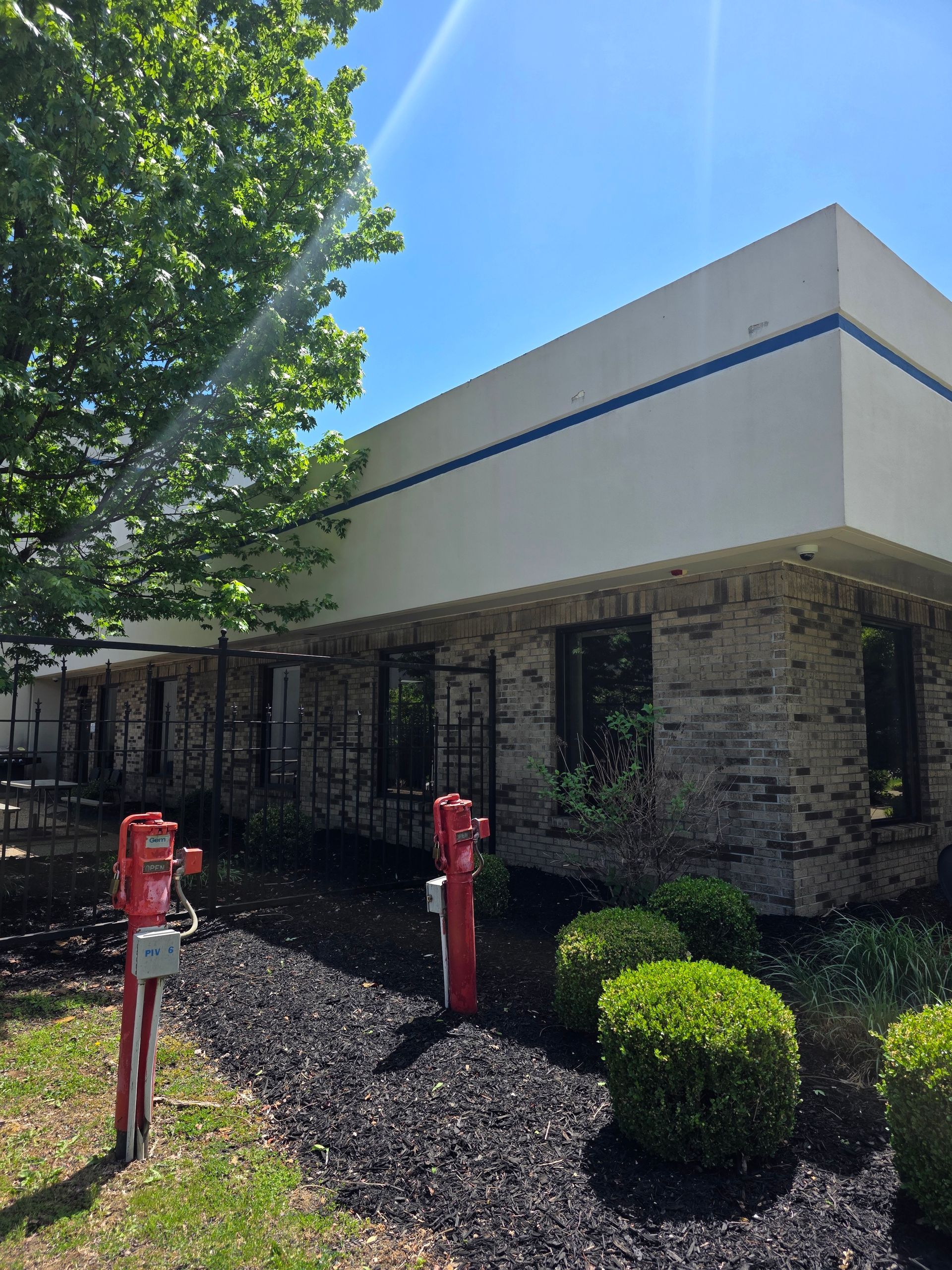 Office building exterior with stone facade, red parking meters, and a tree in front under a blue sky