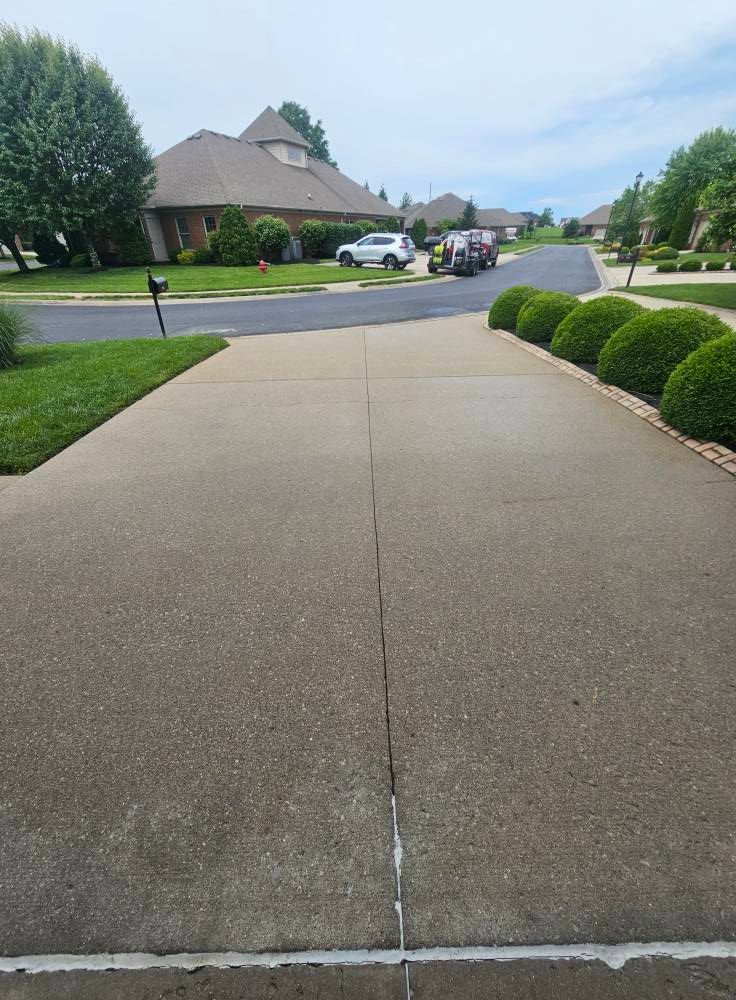 Suburban sidewalk leading to a quiet residential street with houses, cars, and trimmed bushes.