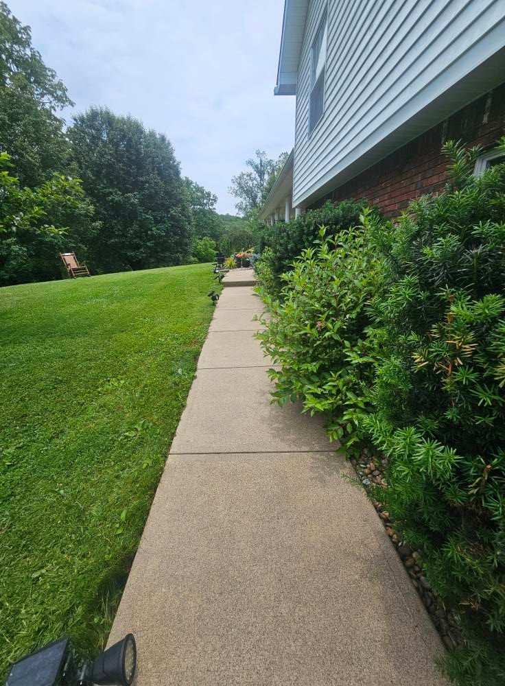 Concrete sidewalk beside a house, with green lawn and bushes on a sunny day