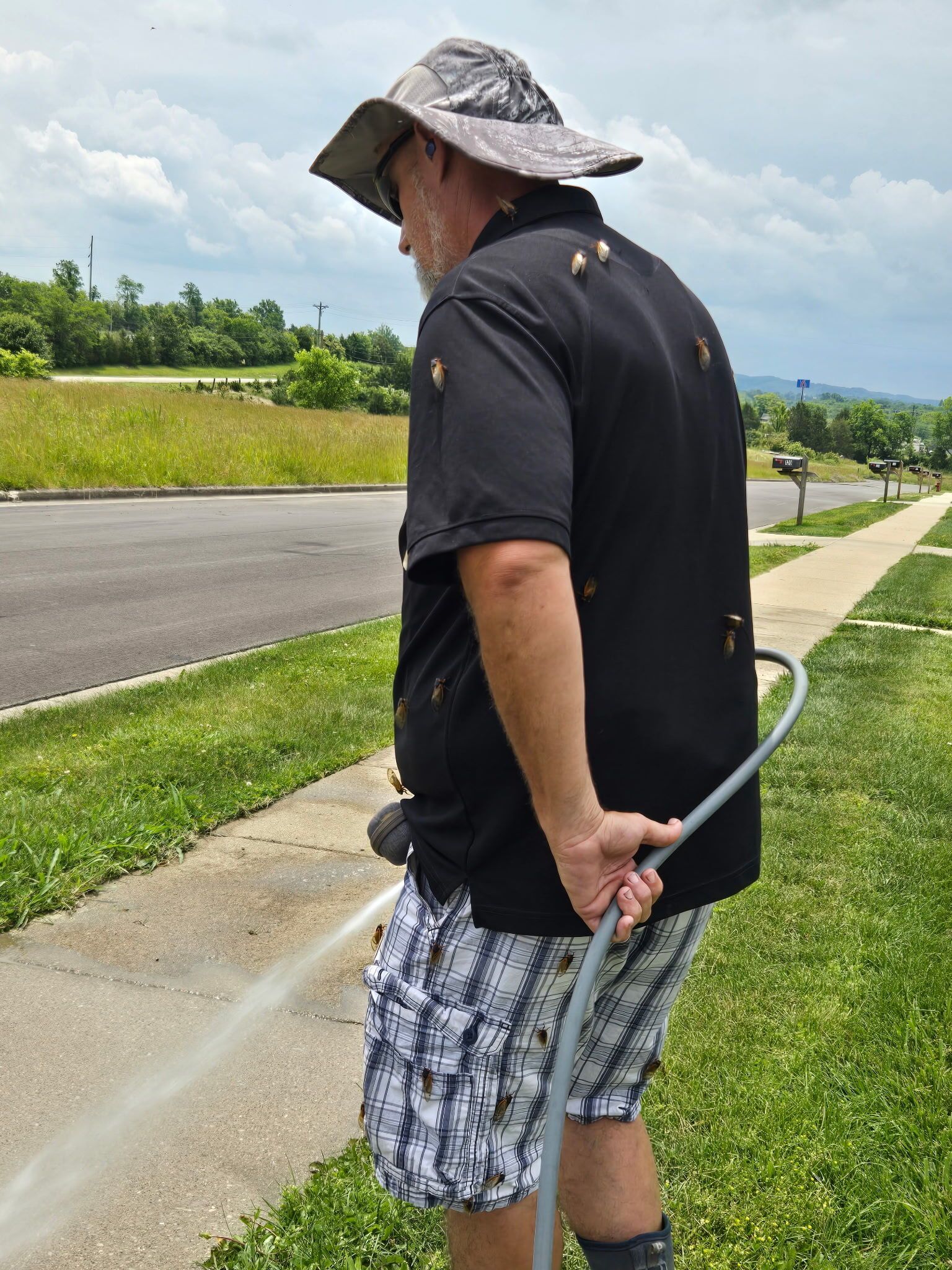 Person in a sun hat stands by a roadside, holding a walking stick in a grassy area.