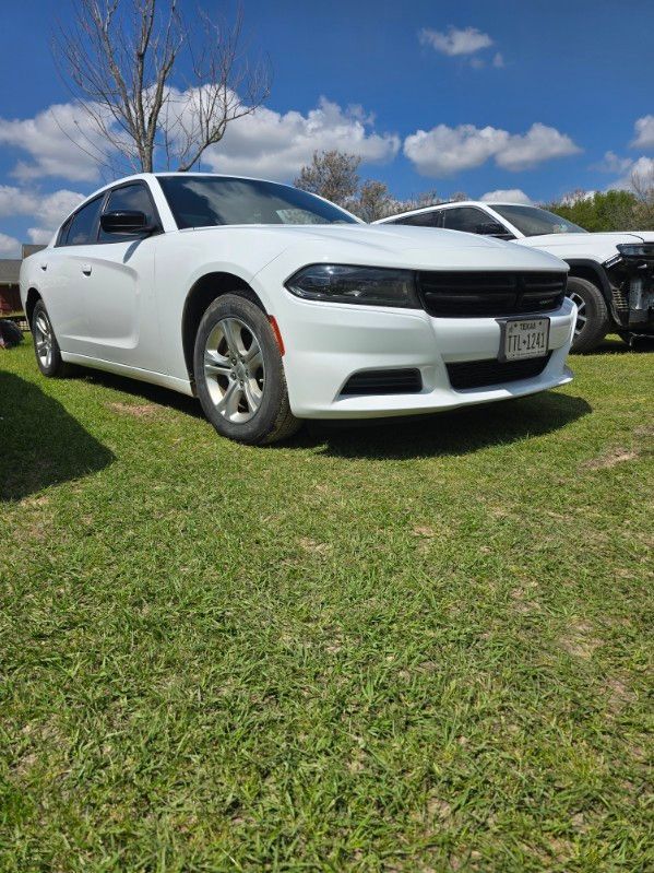 White sedan parked on grass under a blue sky with trees in the background