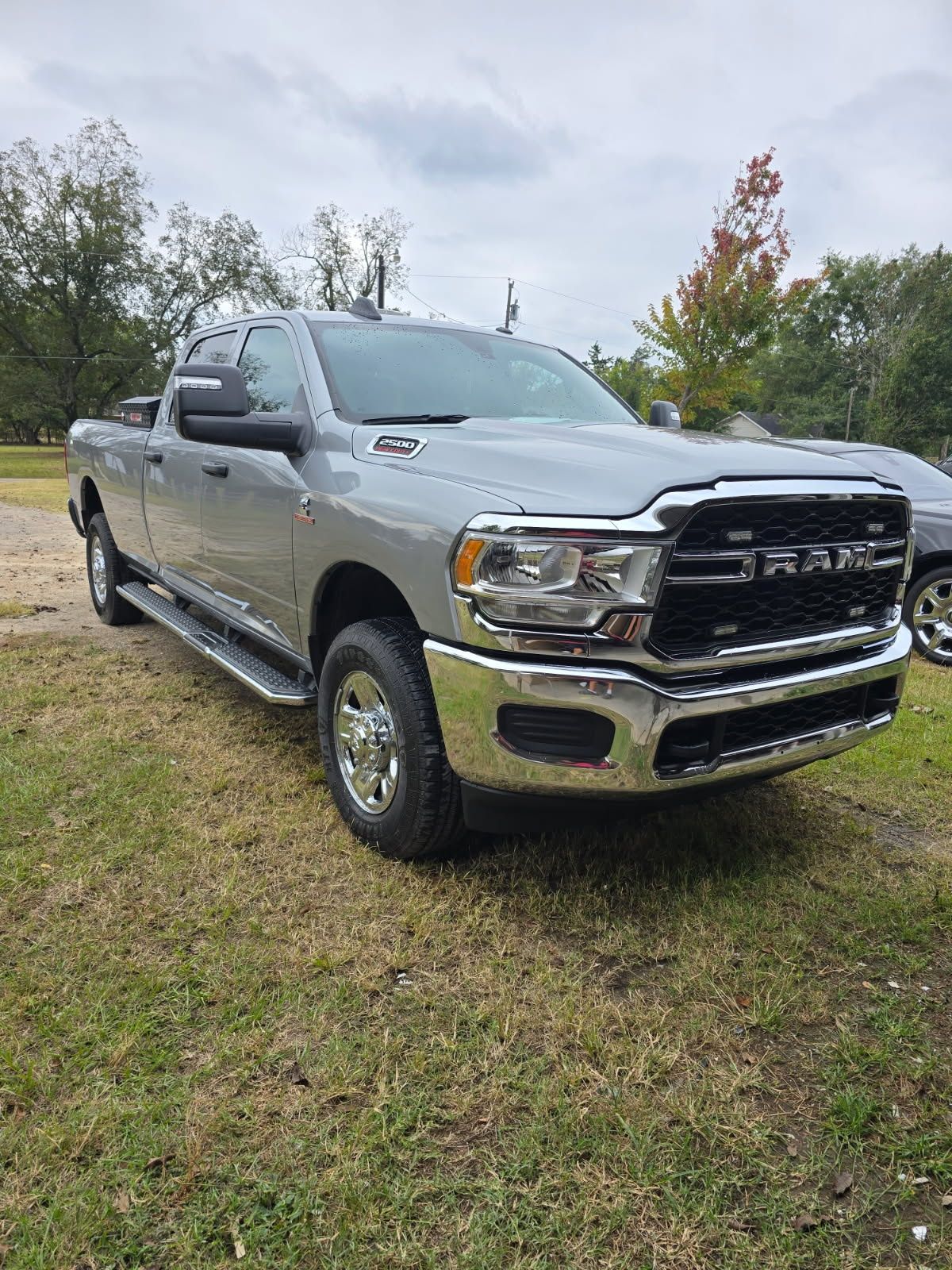Silver pickup truck parked on grass with trees in the background
