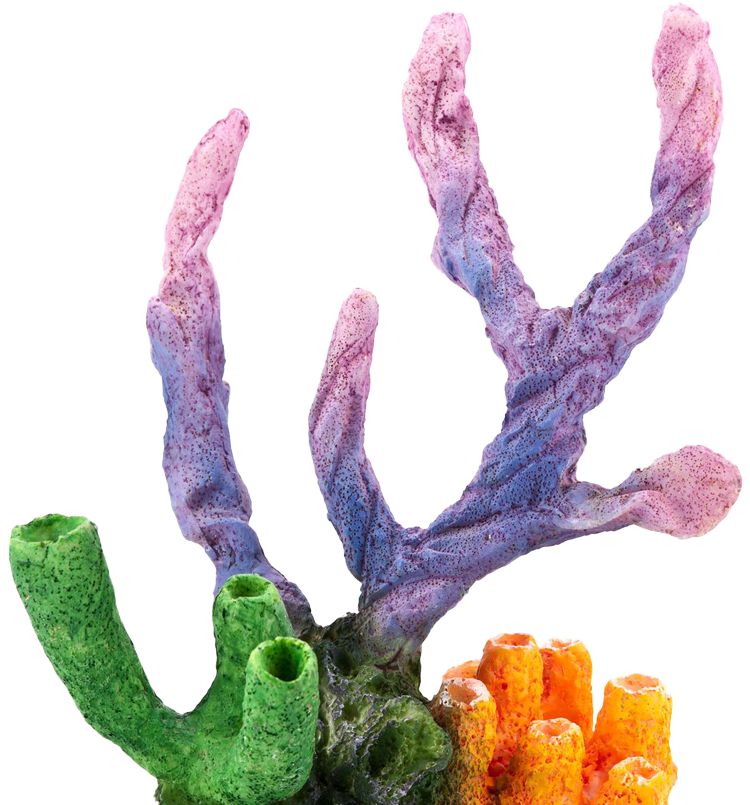 A purple and green sponge with a yellow sponge in the middle