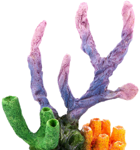 A purple and green sponge with a yellow sponge in the middle