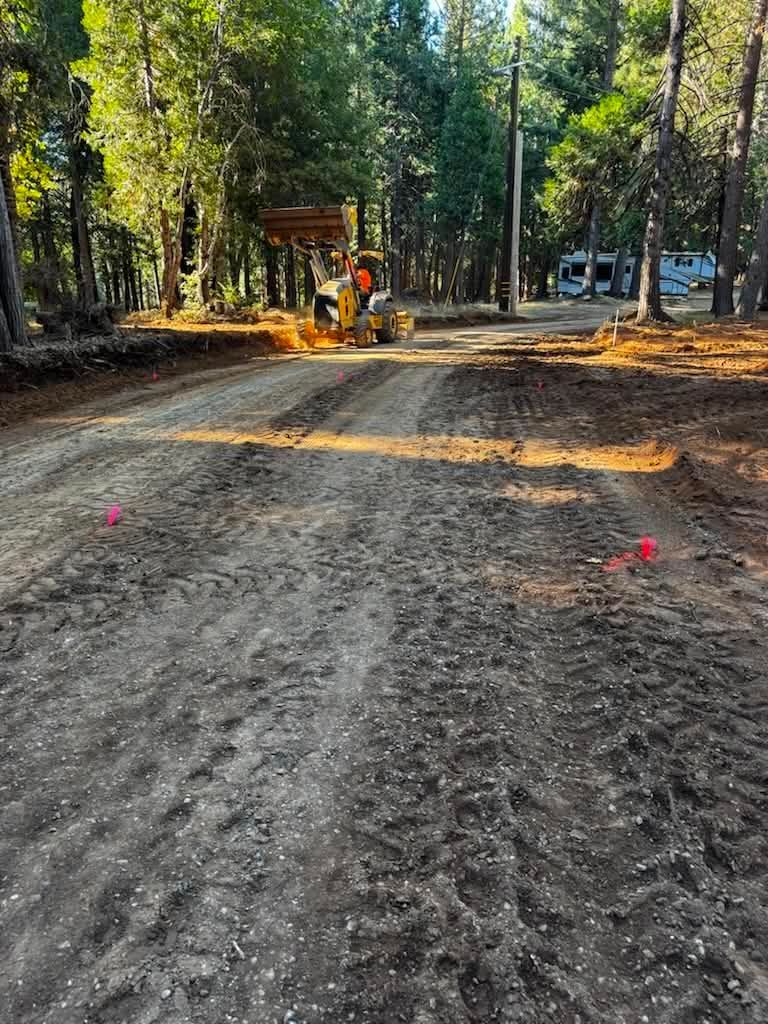 Workers operating a small excavator on a dirt road in a wooded area, with sunlight filtering through the trees.