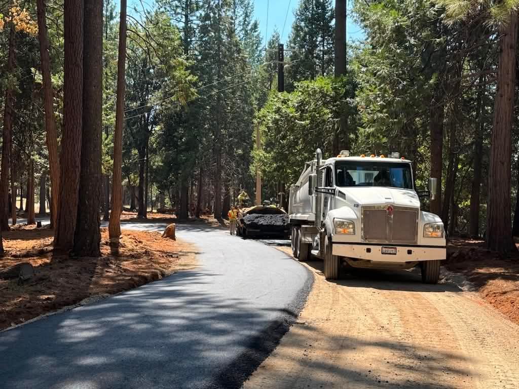White truck on a winding forest road with a black car behind it under tall pine trees