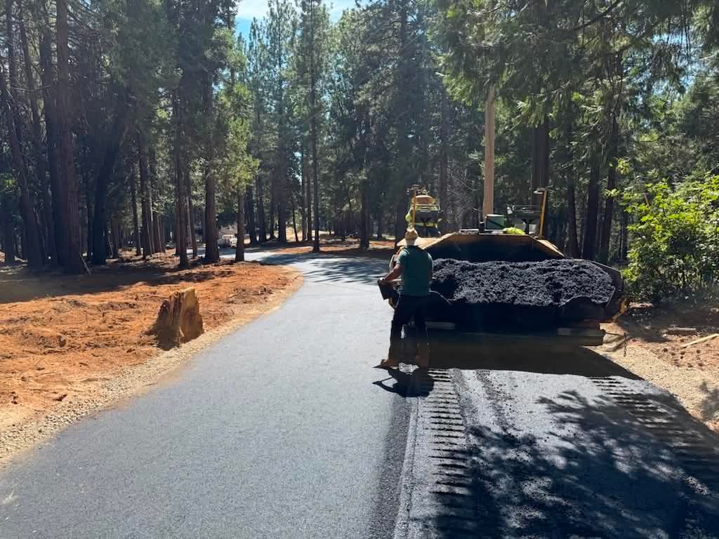 Road paving machine working on a forest road with a worker beside it, surrounded by tall trees