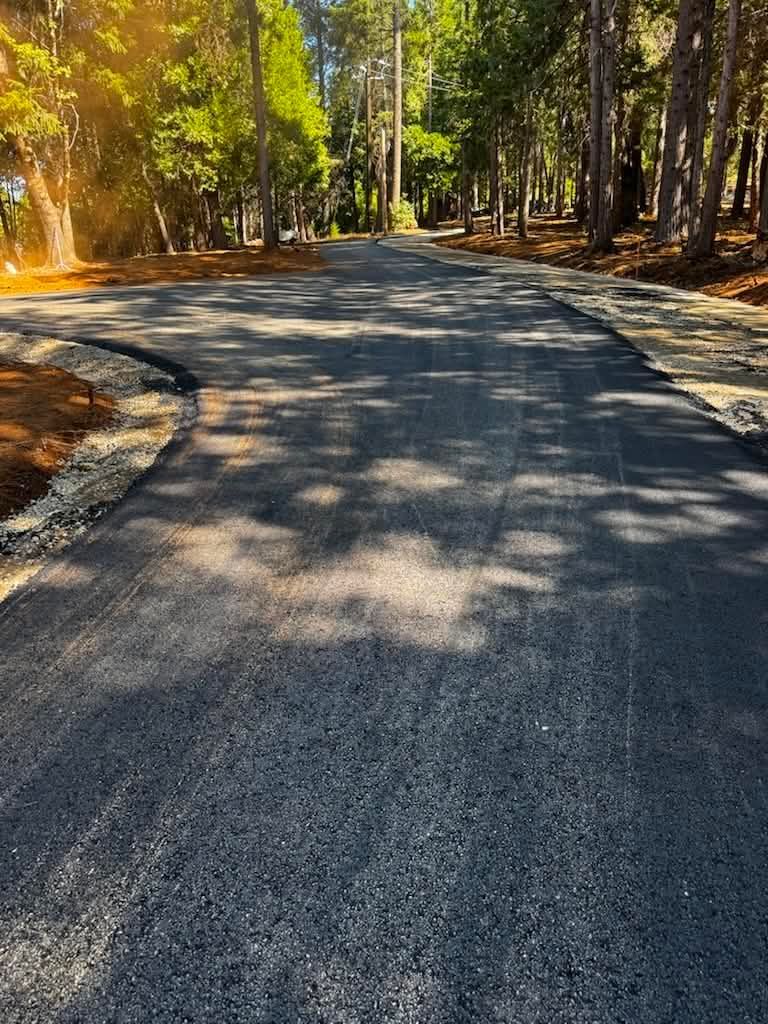 Curving paved road through a sunlit forest with autumn-colored trees and long shadows