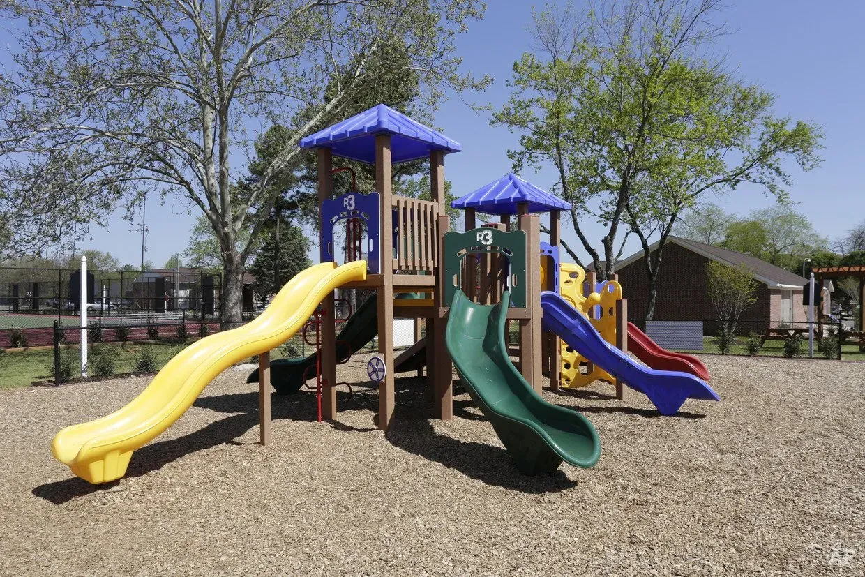 Dolphin playground
