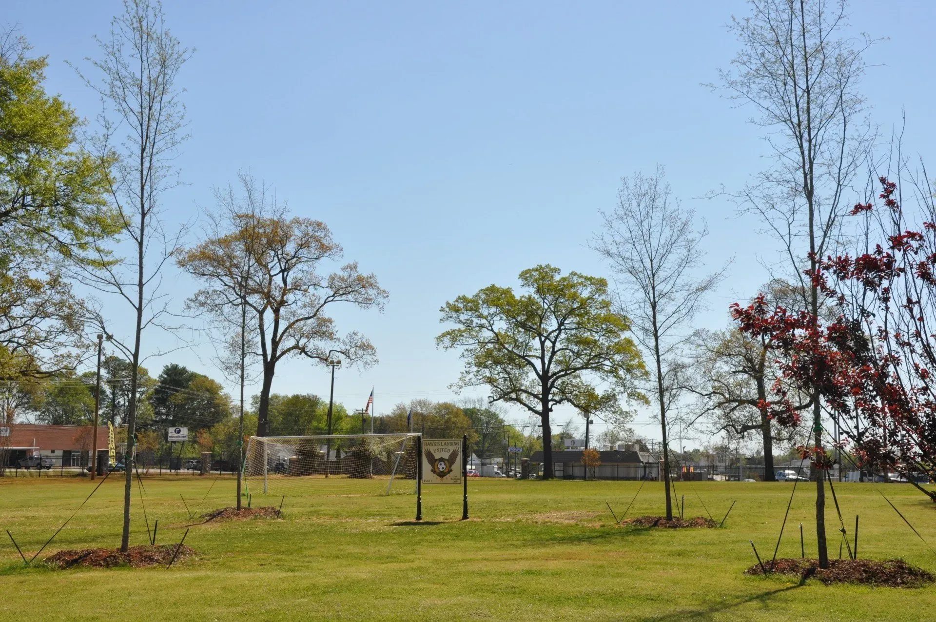 Grass Soccer field