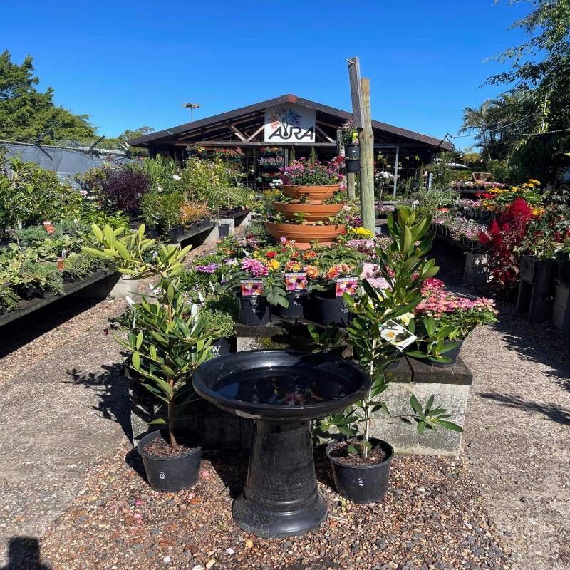 Garden center with plants, tiered pots, and a birdbath under a building with the name