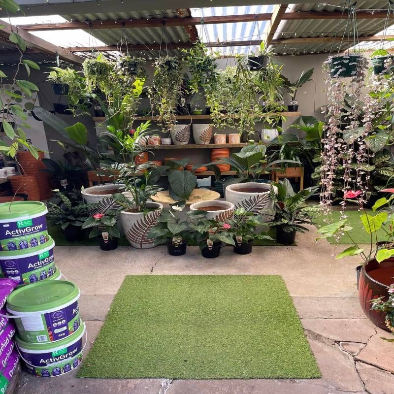 A plant shop with various potted plants and hanging baskets under a corrugated roof.