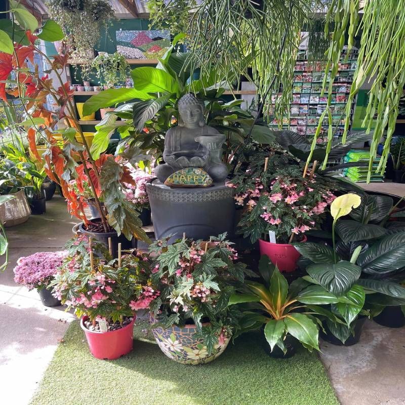 Greenhouse display with a Buddha statue surrounded by potted plants and flowers.