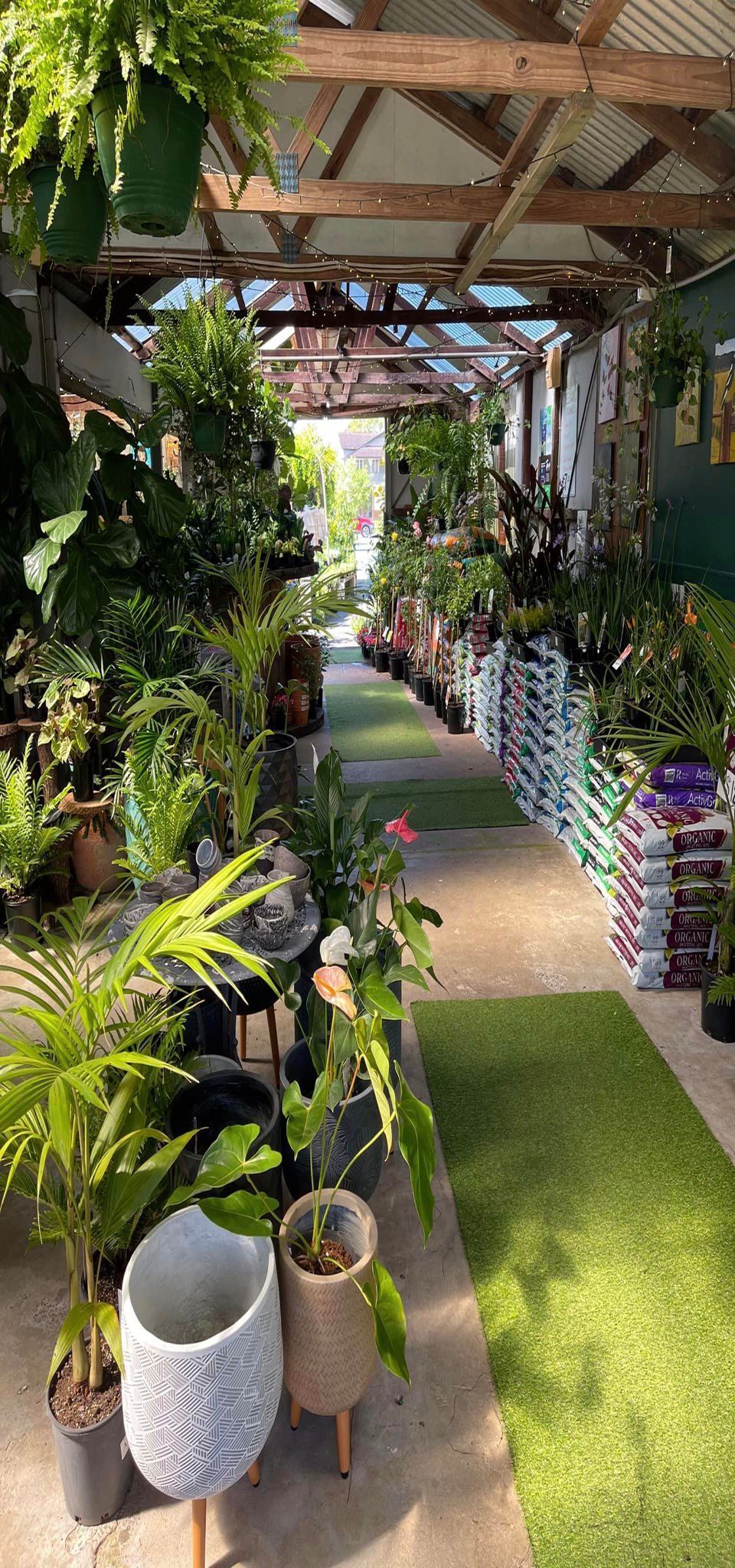 A greenhouse filled with plants. Green pathway, various potted plants, wooden beams above.