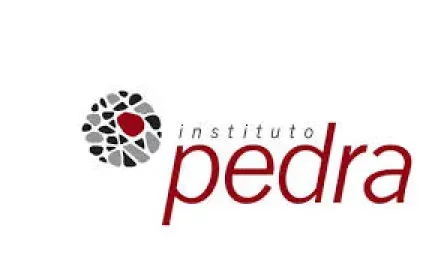 Um logotipo para o instituto pedra com um círculo de pedras em um fundo branco.