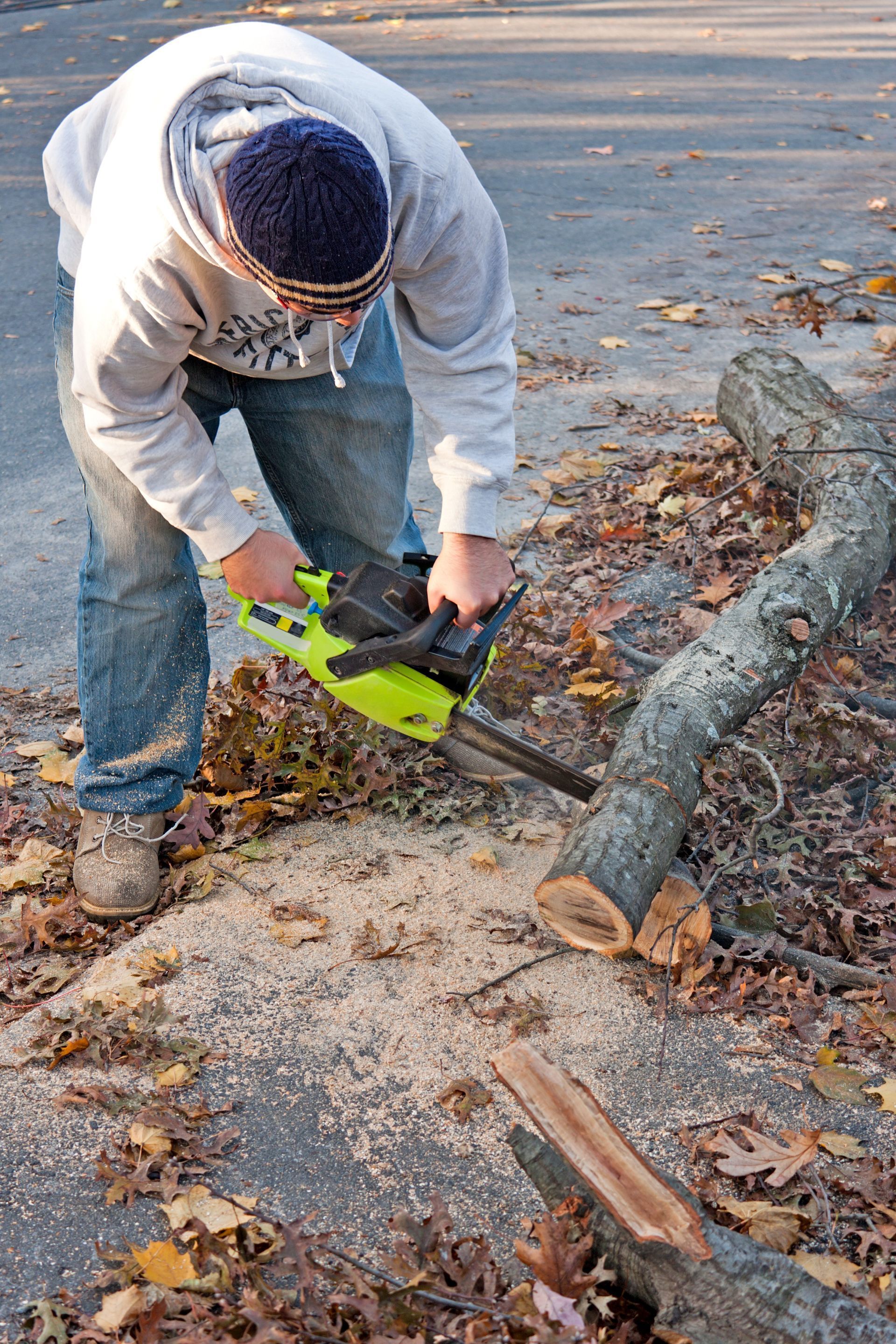 DIY Tree Removal