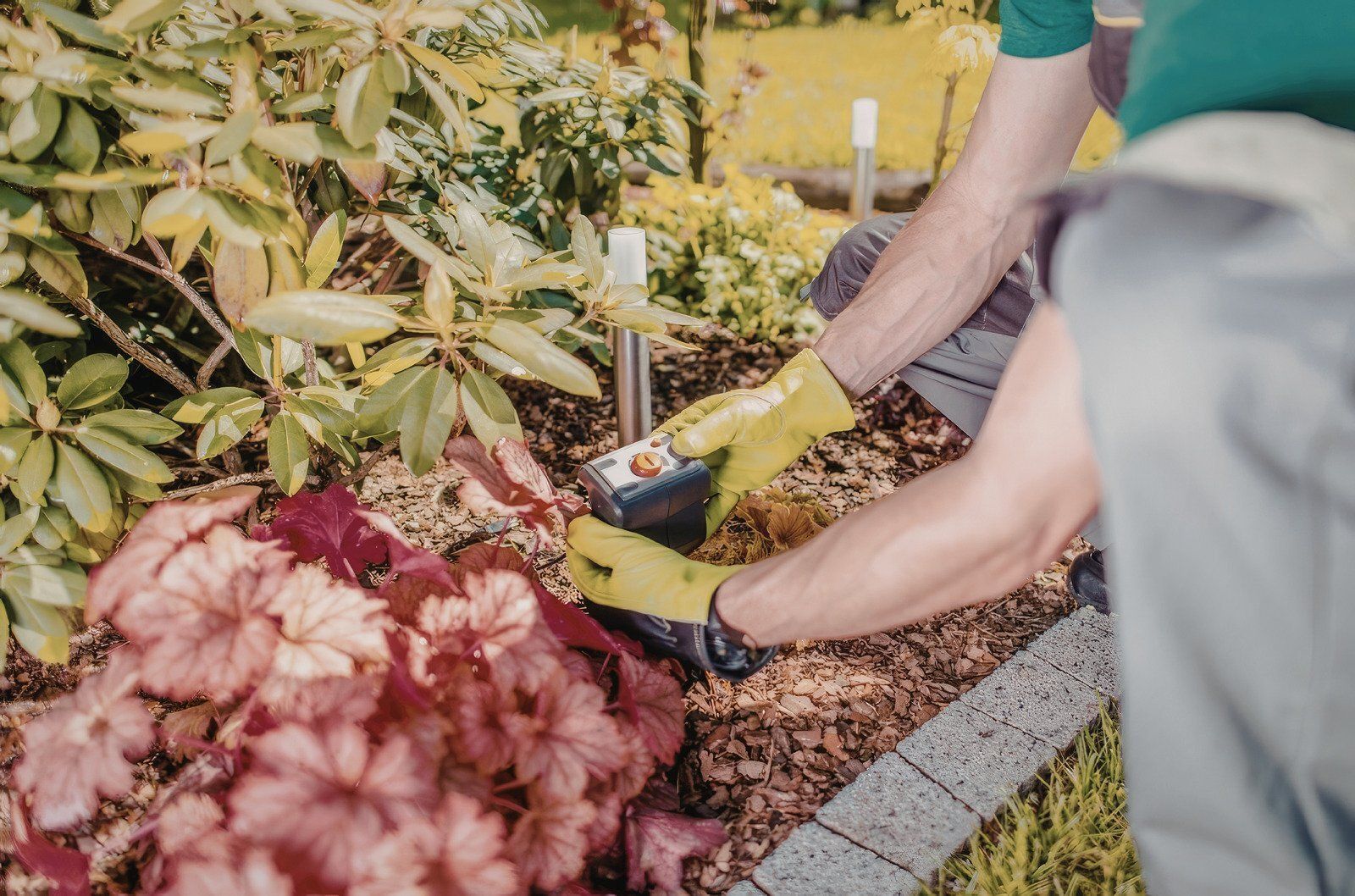 A person wearing yellow gardening gloves uses a small power tool on a metal stake in a garden with plants and mulch.