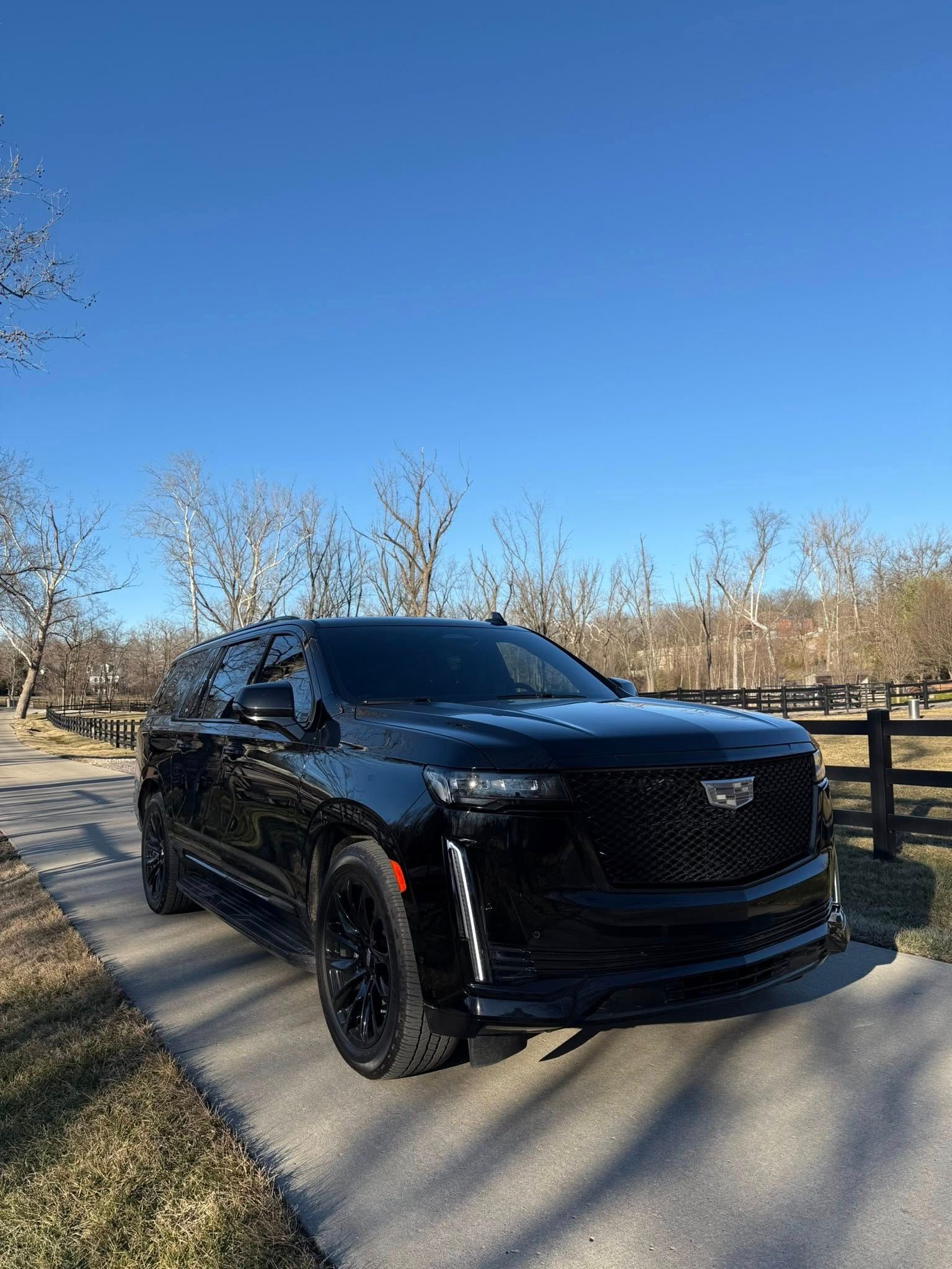 Black SUV parked on a road under a clear blue sky, with leafless trees in the background